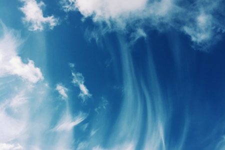 Quelle_pexels-tessa-k-89667 Quelle: Pexels Tessa K