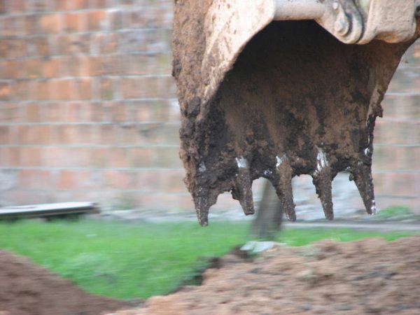 Photo by Guido Ric from FreeImages