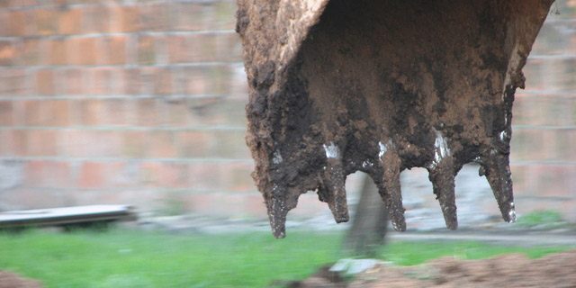 Photo-by-Guido-Ric-from-Fre Photo by Guido Ric from FreeImages