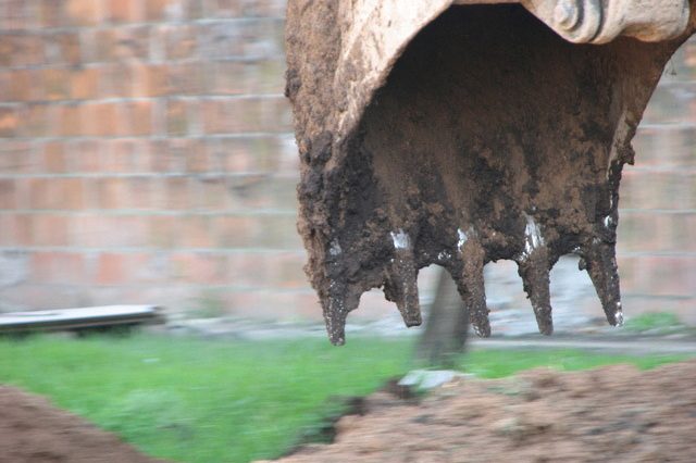 Photo by Guido Ric from FreeImages